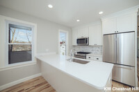 10 Duffley Ct, Unit 2 in Chestnut Hill, MA - Foto de edificio - Building Photo