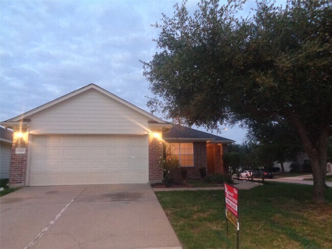 19702 Byron Meadows Dr in Katy, TX - Building Photo - Building Photo