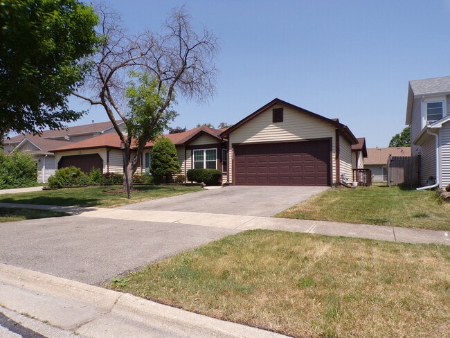 1823 Shetland Rd in Naperville, IL - Building Photo - Building Photo
