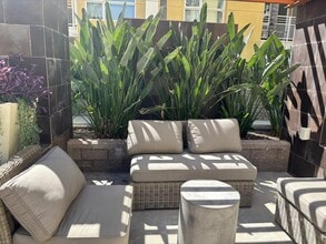 21301 Erwin St, Unit 206 in Woodland Hills, CA - Foto de edificio - Building Photo