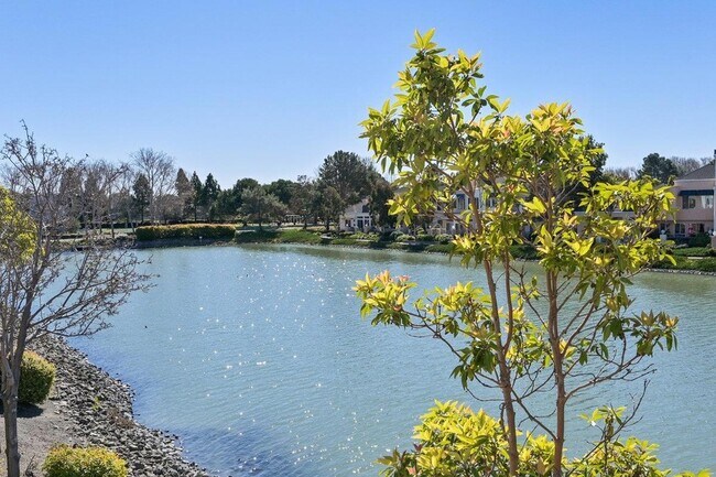 500 Baltic Cir, Unit 1221 in Redwood City, CA - Foto de edificio - Building Photo