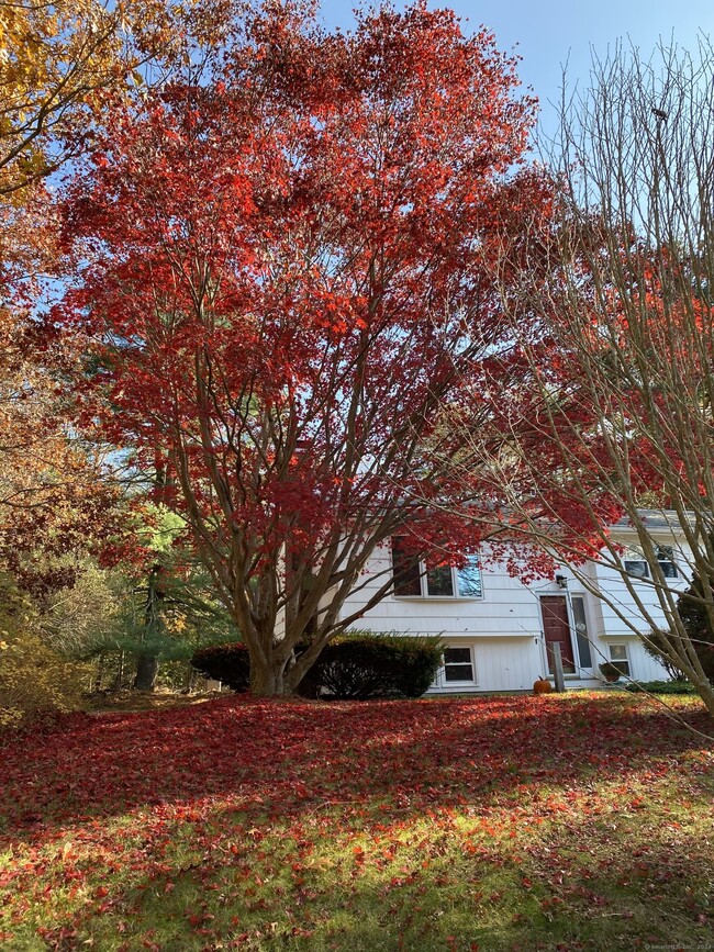 330 Boston Post Rd in East Lyme, CT - Building Photo - Building Photo