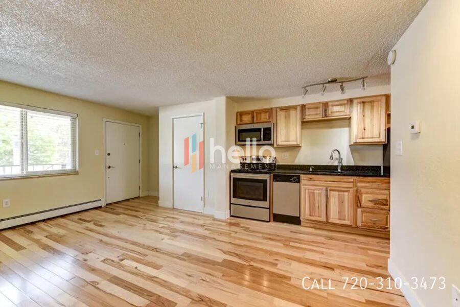 263 N Grant St in Denver, CO - Building Photo