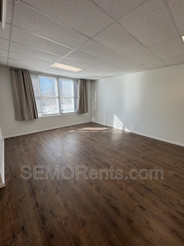 45 Point Dr in Millersville, MO - Foto de edificio - Building Photo