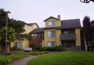 Bay Oak Apartments in Palo Alto, CA - Building Photo - Building Photo