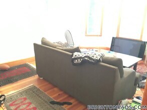 12 Montcalm Ave, Unit 2 in Boston, MA - Building Photo - Building Photo