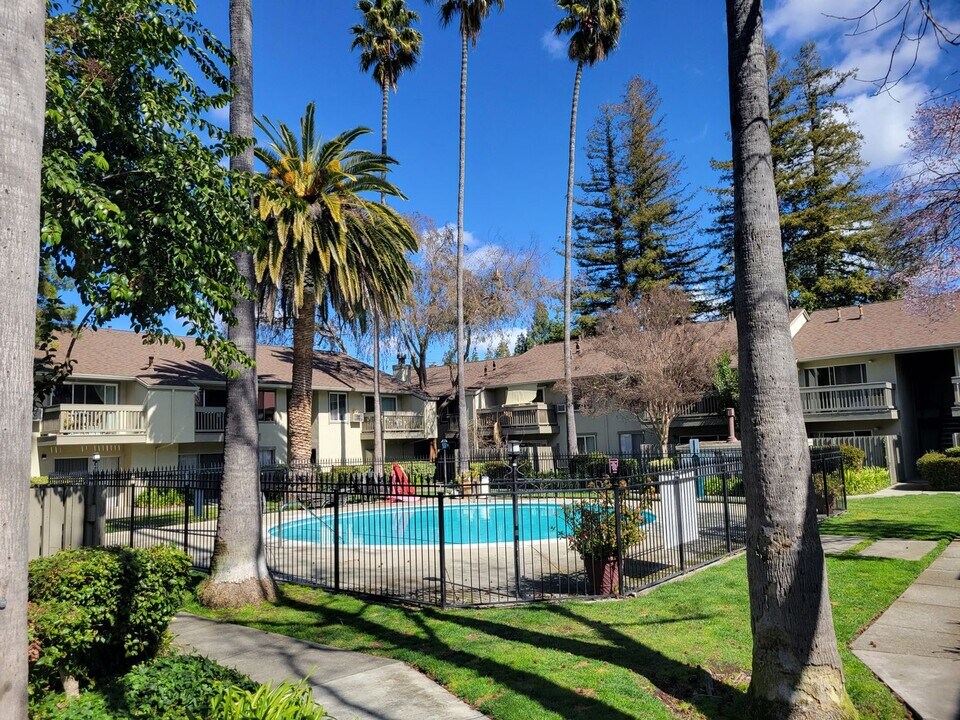 2560 Walnut Blvd in Walnut Creek, CA - Building Photo