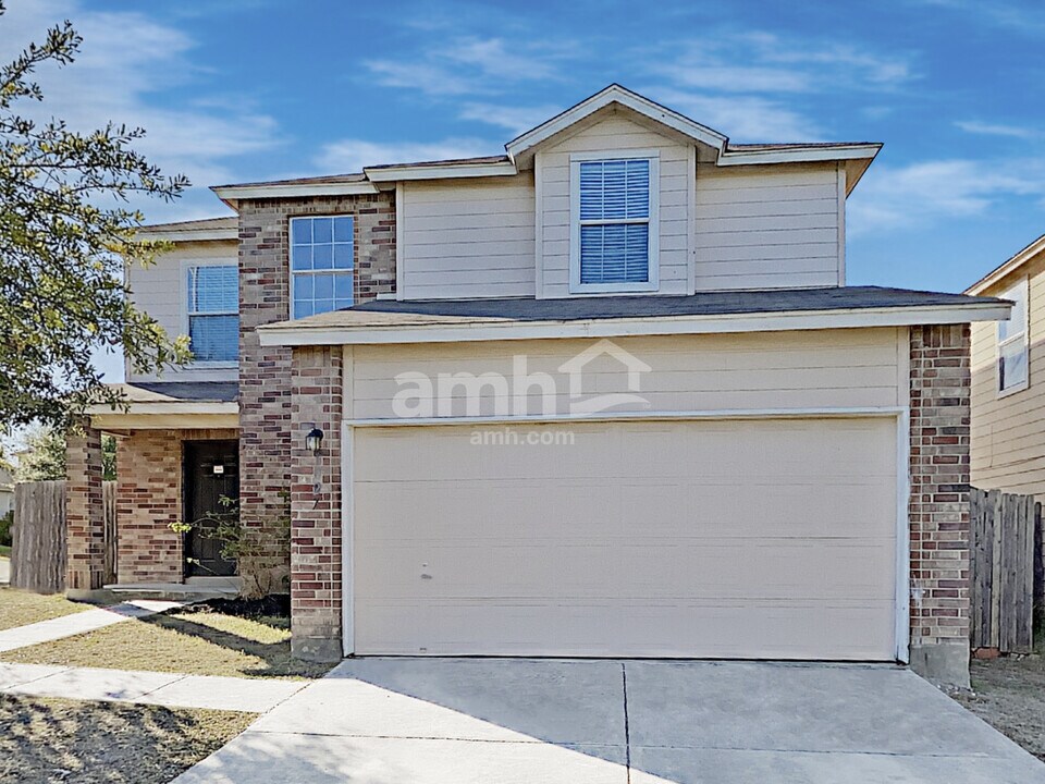1027 Canadian Goose in San Antonio, TX - Building Photo