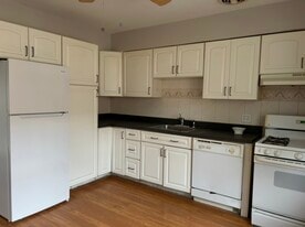 1039 David Dr, Unit 2E in Bensenville, IL - Building Photo