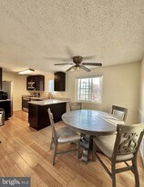 8679 Hickory Ridge Ct in Springfield, VA - Building Photo