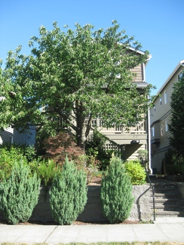 2326 N 62nd St in Seattle, WA - Building Photo - Building Photo