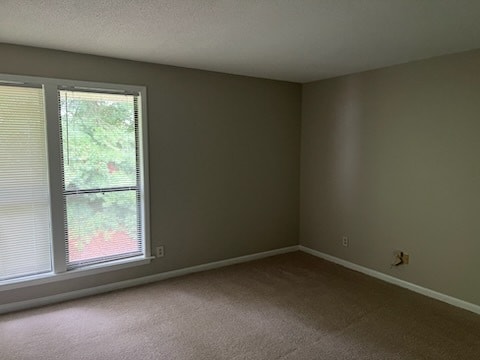 property at 203 Driftwood Ln