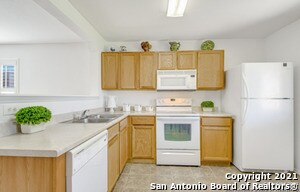 3415 Canyon Maple in San Antonio, TX - Building Photo - Building Photo