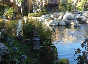 184 Tangelo, Unit 184 Tangelo in Irvine, CA - Foto de edificio - Building Photo