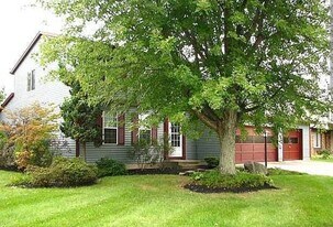 7093 Blackoak Dr in Reynoldsburg, OH - Building Photo