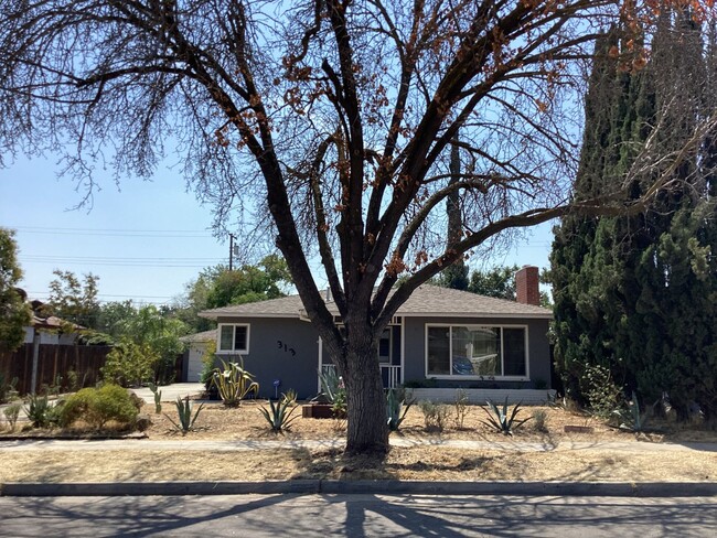 313 W Robinson Ave in Fresno, CA - Building Photo - Building Photo