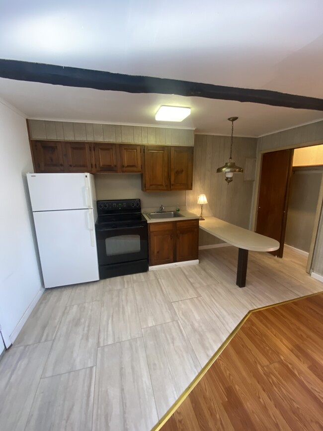 235 Cottage Ln in Cresco, PA - Building Photo - Building Photo