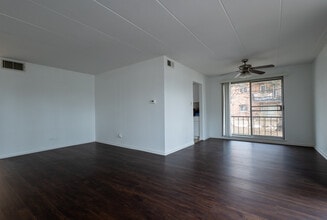 10241 Central Ave, Unit 1b in Oak Lawn, IL - Building Photo - Building Photo