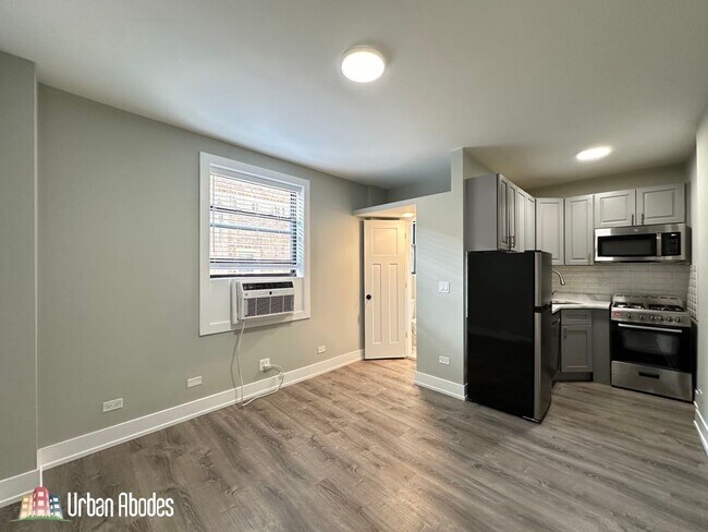 501 W Belmont Ave, Unit A01C in Chicago, IL - Building Photo - Building Photo