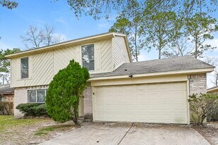 11955 Drummond Park Dr in Houston, TX - Building Photo