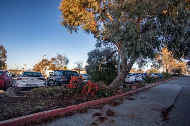 SyWest Development in Redwood City, CA - Building Photo - Building Photo