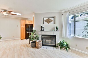 4575 Contour Blvd in San Diego, CA - Building Photo