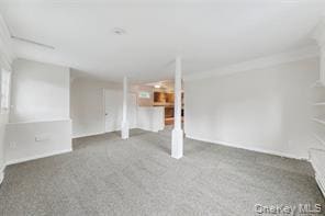 15 Park Pl in Hyde Park, NY - Building Photo - Building Photo