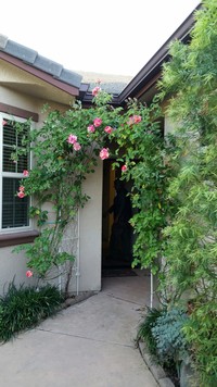 The Garden Cottages (Seniors 55+) in Fresno, CA - Foto de edificio - Building Photo