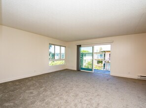 816 N Delaware St in San Mateo, CA - Building Photo - Building Photo