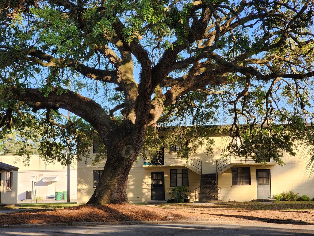 Chatham City Apartments Savannah, GA Apartments For Rent