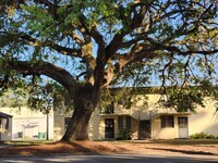 Chatham City Apartments in Savannah, GA - Building Photo - Building Photo