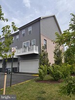 14198 Gypsum Lp in Chantilly, VA - Building Photo