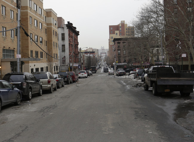 Courtlandt Avenue Apartments in Bronx, NY - Building Photo - Building Photo