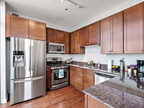 233 E 13th St, Unit 2501 in Chicago, IL - Foto de edificio - Building Photo