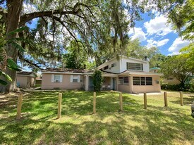 1008 Meadows Ave in Orlando, FL - Building Photo