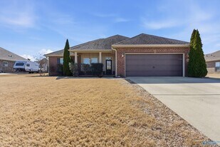 133 Carleighfalls Dr in Meridianville, AL - Building Photo