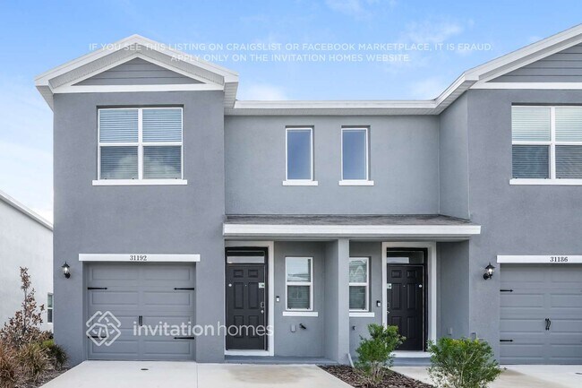 31192 Striped Maple Ln in Wesley Chapel, FL - Building Photo - Building Photo