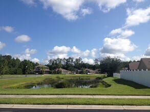341 Kaley Ct in Oldsmar, FL - Foto de edificio - Building Photo