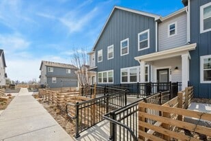 748 Silver Maple Ln in Fort Collins, CO - Building Photo