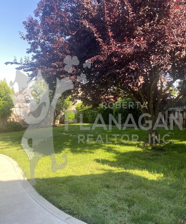 3042 Bea Dr in Merced, CA - Building Photo - Building Photo