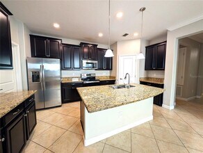 11024 Little Blue Heron Dr in Riverview, FL - Building Photo - Building Photo