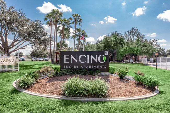 Encino