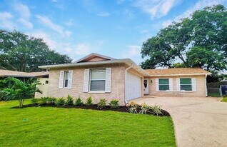 1902 Briarwood St in Dunedin, FL - Building Photo