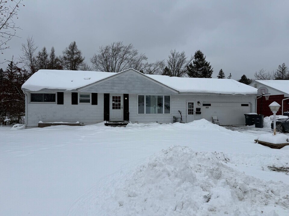 103 E Niagara St in Duluth, MN - Building Photo