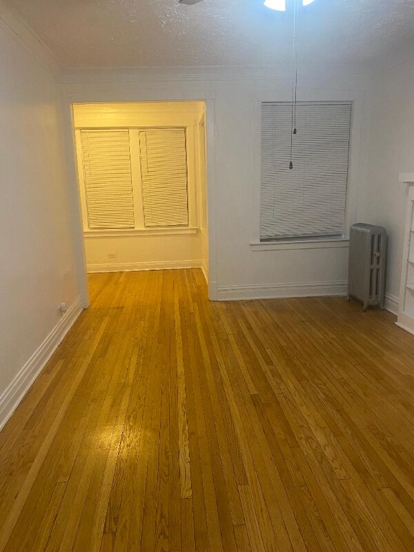 340 S Homan Ave in Chicago, IL - Building Photo - Building Photo
