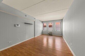 1041 Susan Collins Ln in Oak Park, IL - Building Photo - Building Photo