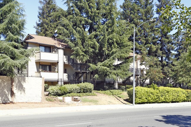 1399 Vine St in San Jose, CA - Building Photo - Building Photo