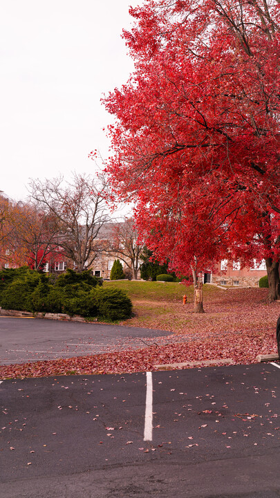 Wynnefield Terrace in Philadelphia, PA - Foto de edificio