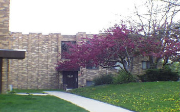 1125 N Boxwood Dr in Mount Prospect, IL - Building Photo - Building Photo