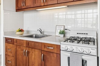 1550 Wilder Ave in Honolulu, HI - Building Photo - Building Photo